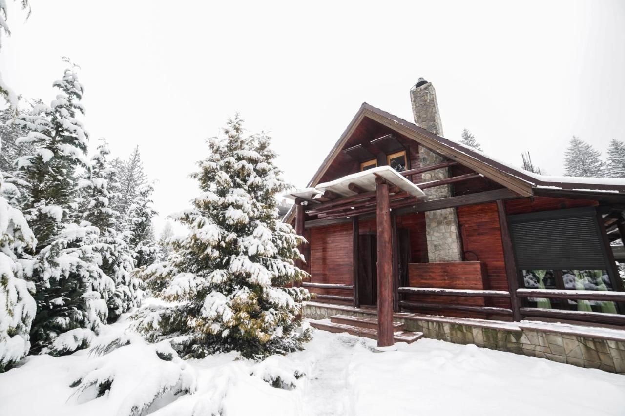 Лоджи Cabana - Vila Crinul Poiana Brasov Пояна-Брашов-4