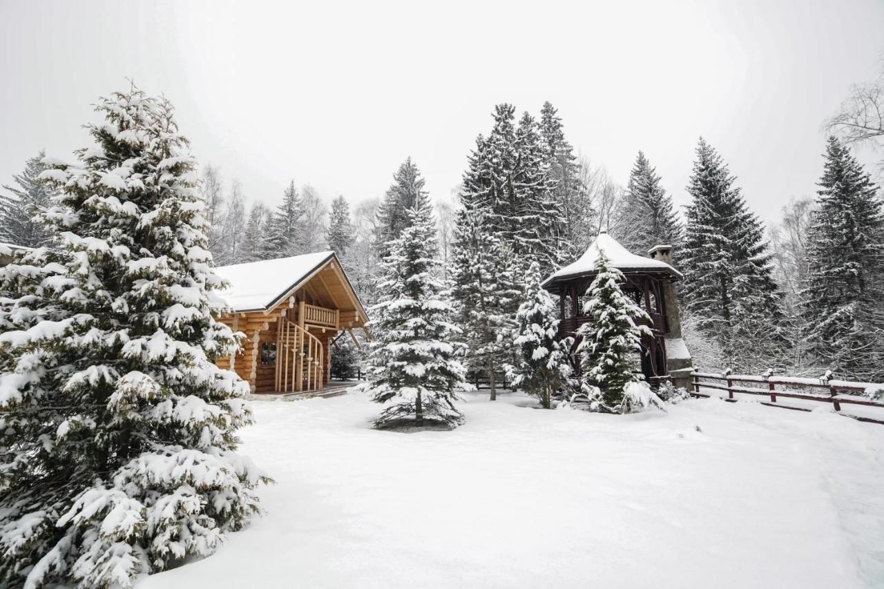 Лоджи Cabana - Vila Crinul Poiana Brasov Пояна-Брашов-38
