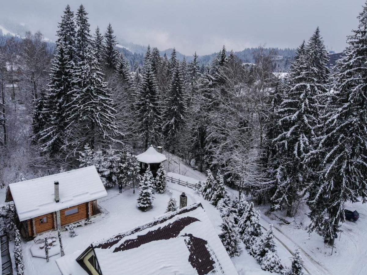 Лоджи Cabana - Vila Crinul Poiana Brasov Пояна-Брашов