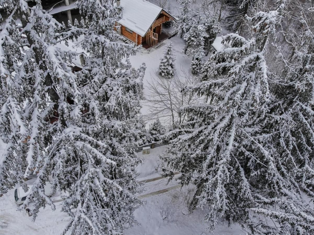 Лоджи Cabana - Vila Crinul Poiana Brasov Пояна-Брашов