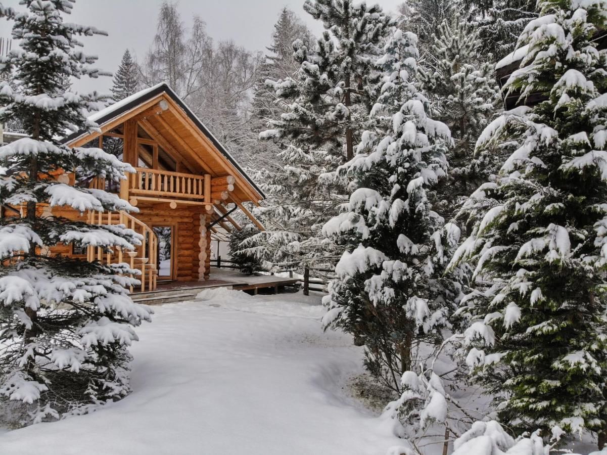 Лоджи Cabana - Vila Crinul Poiana Brasov Пояна-Брашов-41