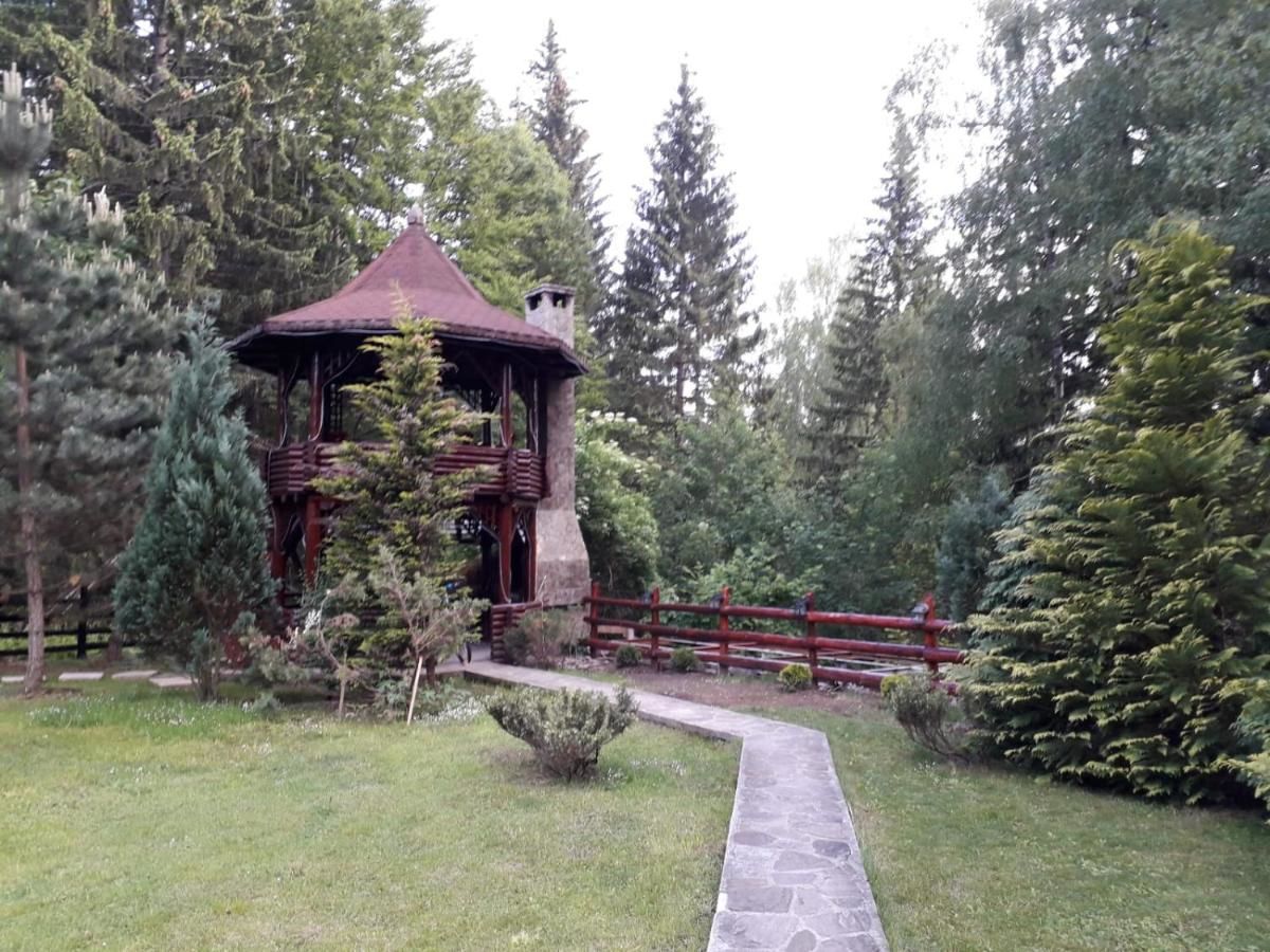 Лоджи Cabana - Vila Crinul Poiana Brasov Пояна-Брашов-43