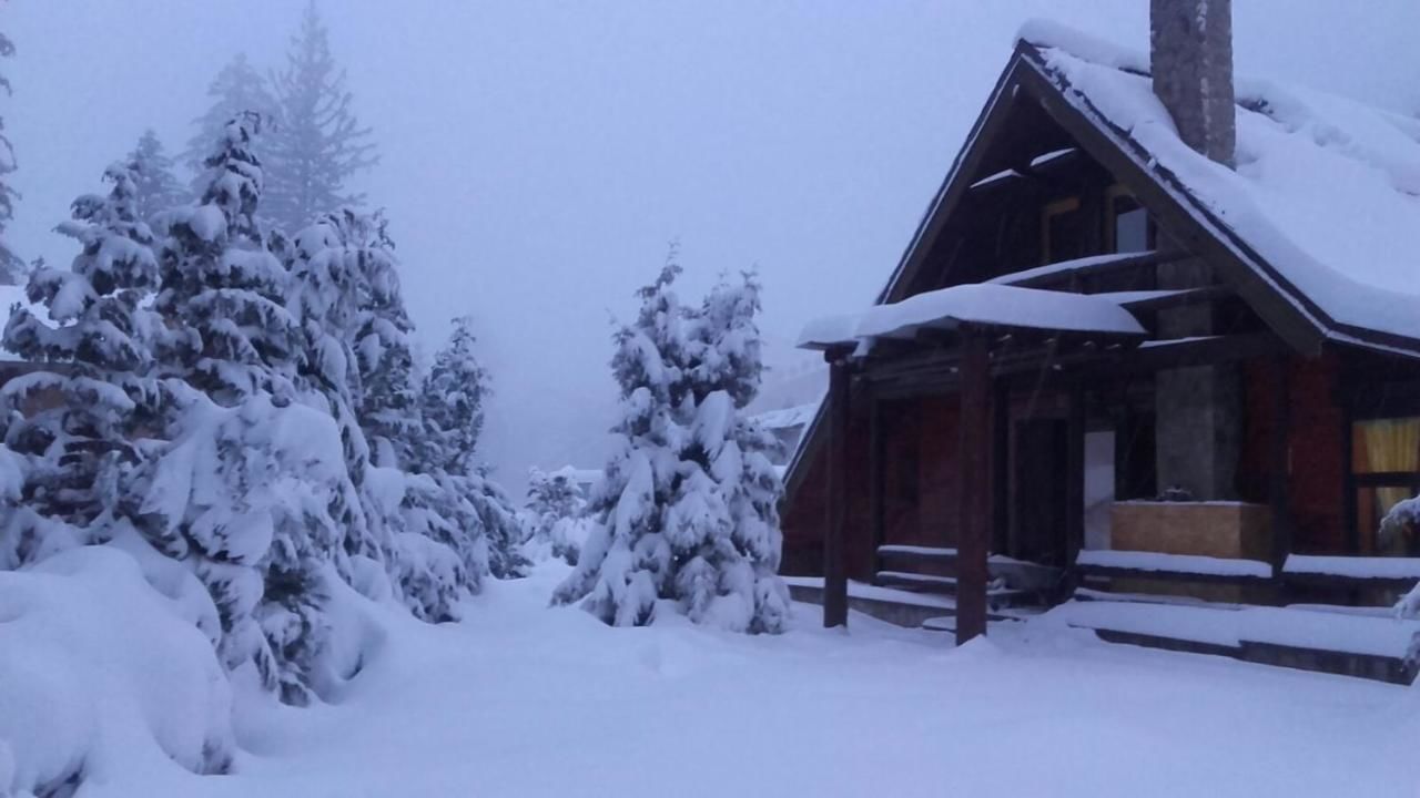 Лоджи Cabana - Vila Crinul Poiana Brasov Пояна-Брашов-44