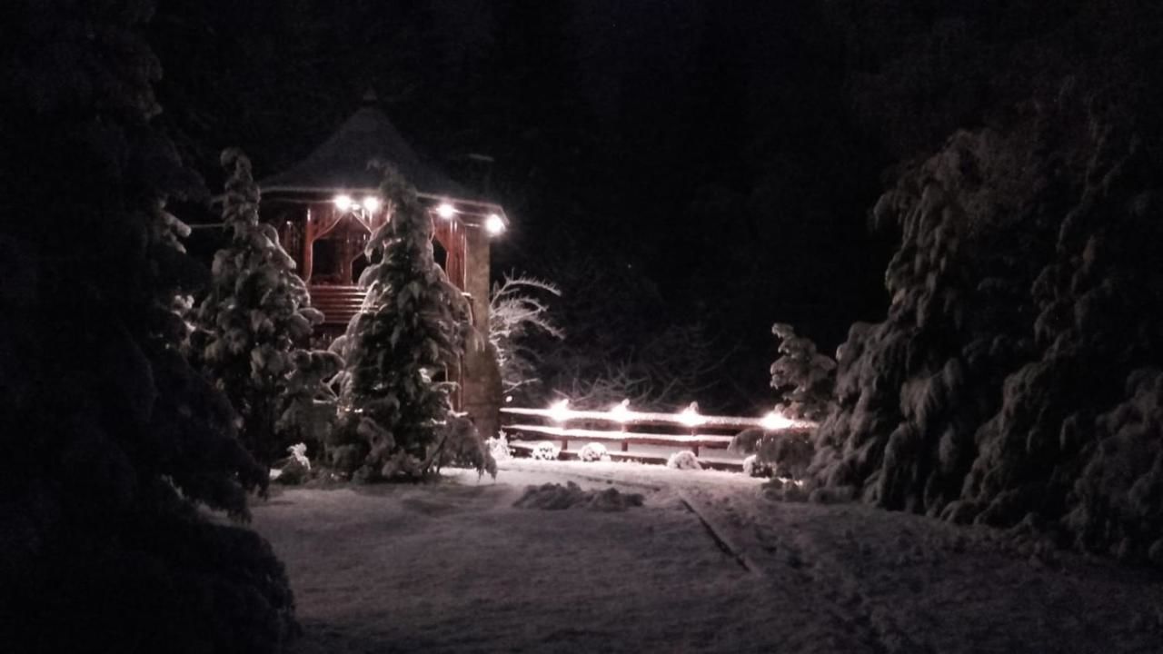 Лоджи Cabana - Vila Crinul Poiana Brasov Пояна-Брашов-46