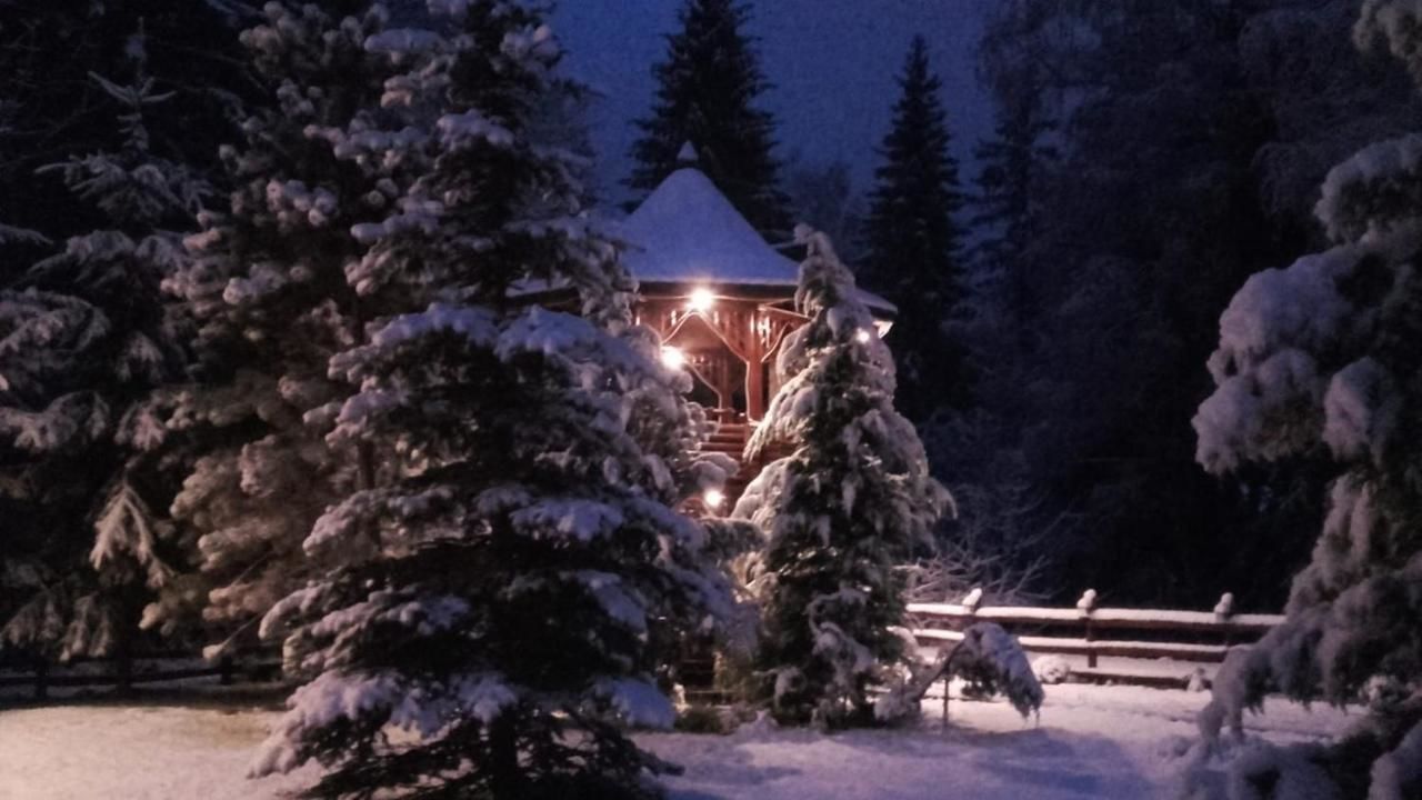 Лоджи Cabana - Vila Crinul Poiana Brasov Пояна-Брашов-47