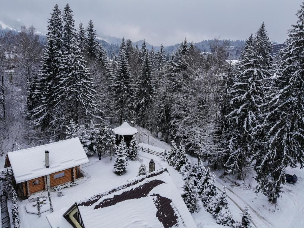 Лоджи Cabana - Vila Crinul Poiana Brasov Пояна-Брашов