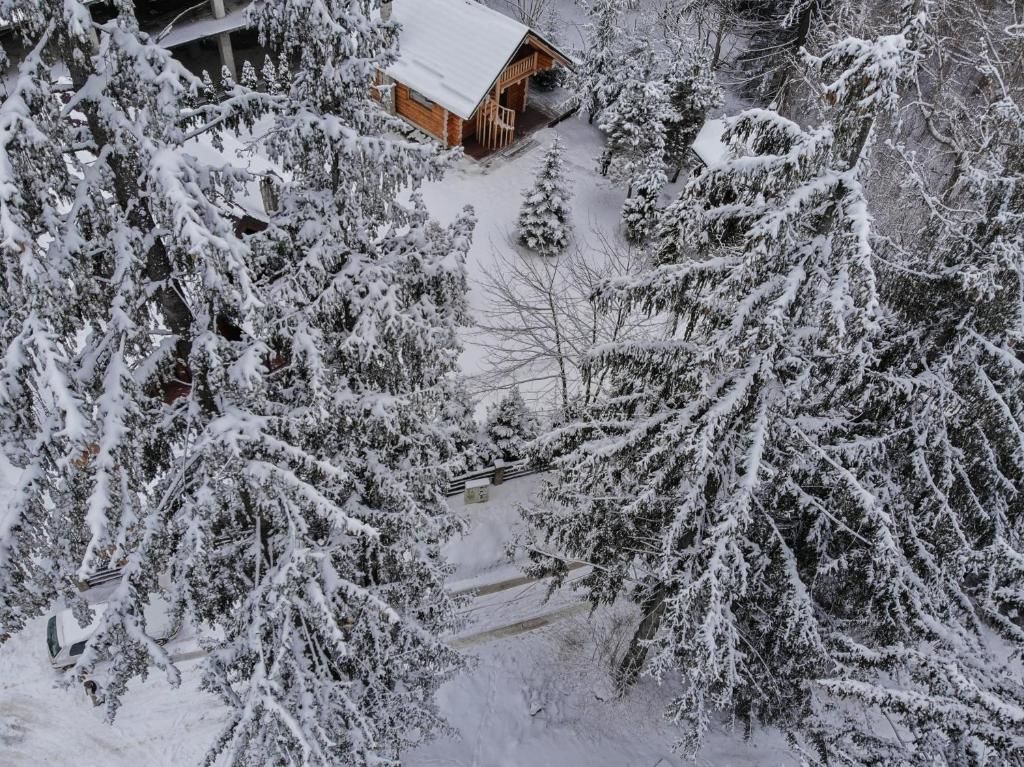 Лоджи Cabana - Vila Crinul Poiana Brasov Пояна-Брашов