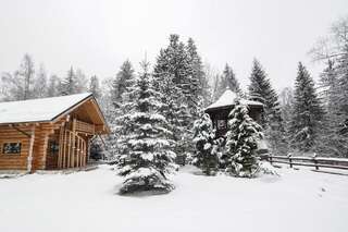 Лоджи Cabana - Vila Crinul Poiana Brasov Пояна-Брашов Шале-33