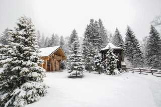 Лоджи Cabana - Vila Crinul Poiana Brasov Пояна-Брашов Шале-34