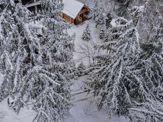 Лоджи Cabana - Vila Crinul Poiana Brasov Пояна-Брашов Шале-2