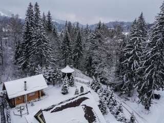 Лоджи Cabana - Vila Crinul Poiana Brasov Пояна-Брашов Шале-5