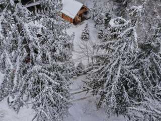 Лоджи Cabana - Vila Crinul Poiana Brasov Пояна-Брашов Шале-6