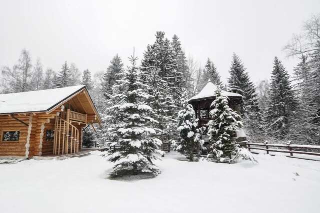 Лоджи Cabana - Vila Crinul Poiana Brasov Пояна-Брашов-36