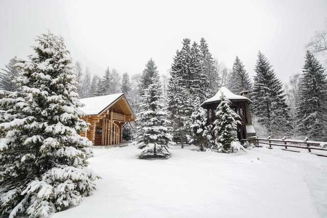 Лоджи Cabana - Vila Crinul Poiana Brasov Пояна-Брашов-37