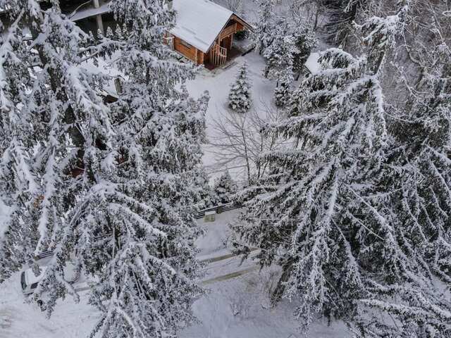 Лоджи Cabana - Vila Crinul Poiana Brasov Пояна-Брашов-39