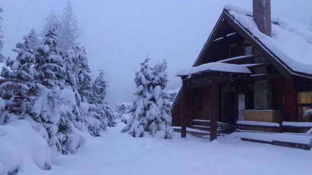 Лоджи Cabana - Vila Crinul Poiana Brasov Пояна-Брашов-43