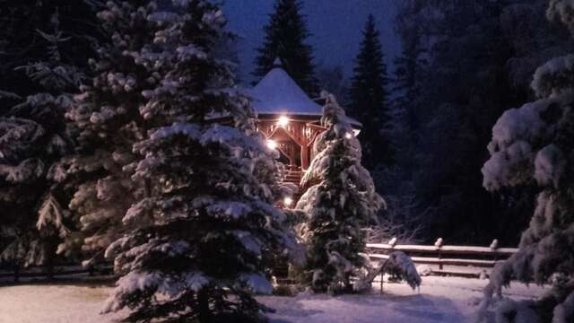 Лоджи Cabana - Vila Crinul Poiana Brasov Пояна-Брашов-46