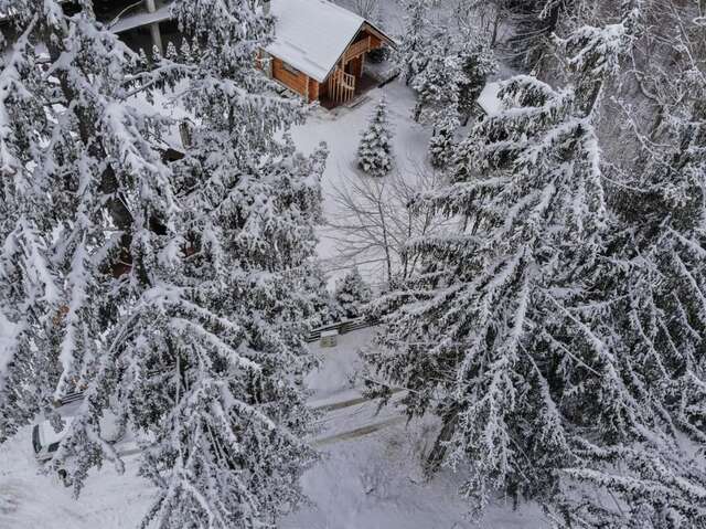 Лоджи Cabana - Vila Crinul Poiana Brasov Пояна-Брашов-49